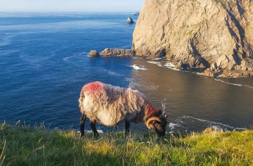 Donegal wandelreis vanaf Groningen -Categorie/Wandelreizen Ierland