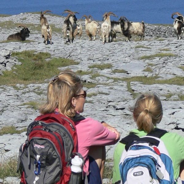 The Burren & Aran Islands Wandeltrektocht vanaf Groningen -Categorie/Actieve-reizen Wandelreizen