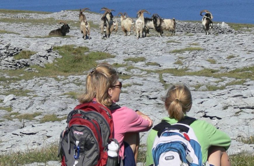 The Burren & Aran Islands Wandeltrektocht vanaf Groningen -Categorie/Wandelreizen Ierland