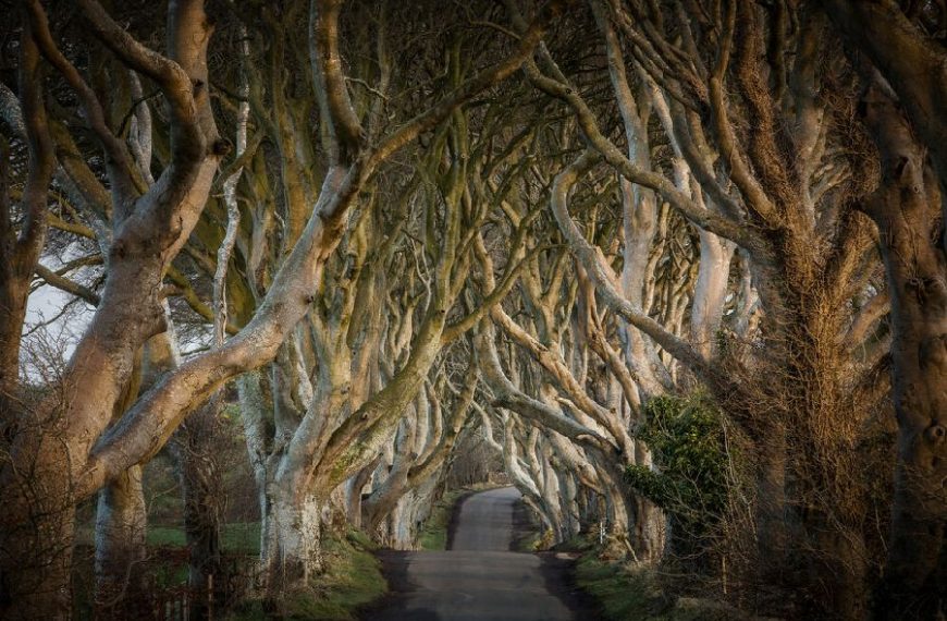 Autorondreis Game Of Thrones Noord-Ierland -Categorie/Autorondreizen afwisselend verblijf Ierland