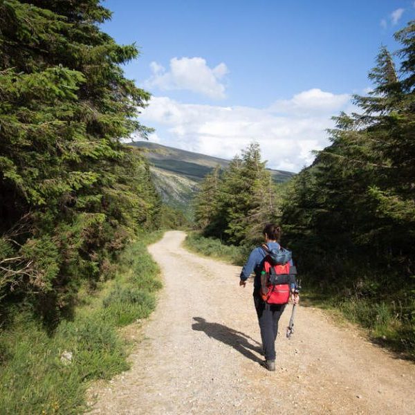 The Wicklow Way Wandeltrektochten individueel -Categorie/Actieve-reizen Wandelreizen