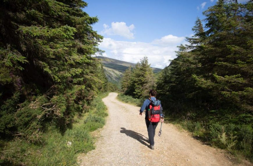 The Wicklow Way Wandeltrektochten individueel -Categorie/Actieve-reizen Wandelreizen